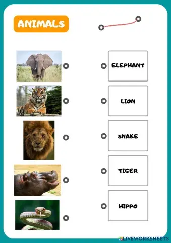 ANIMALS.pdf