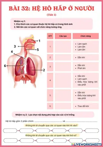 PHI___U_H___C_T___P_NH__M.pdf