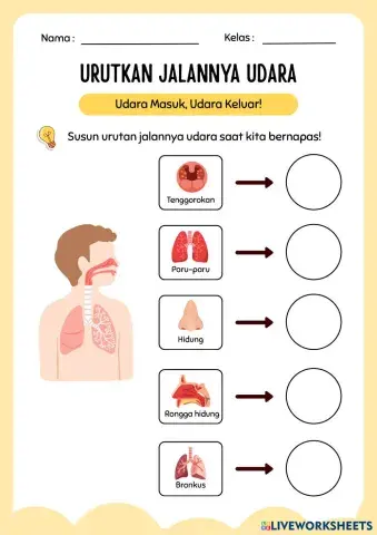 Lembar_Kerja_Urutkan_Jalan_Organ_Pernapasan_dalam_Gaya_Ilustrasi_Merah_Krem.pdf
