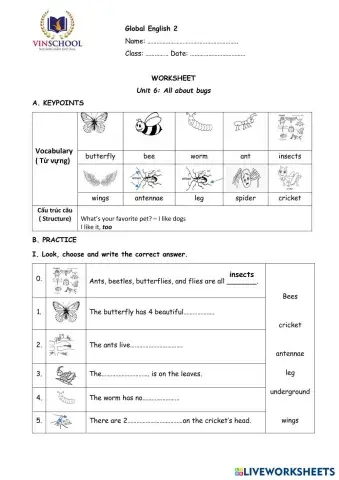 worksheet tumbnail
