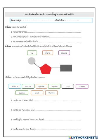 worksheet tumbnail