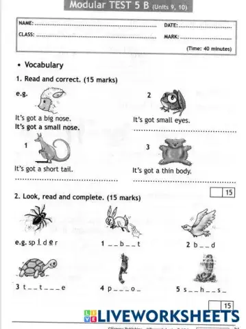 worksheet tumbnail