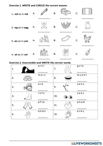 worksheet tumbnail