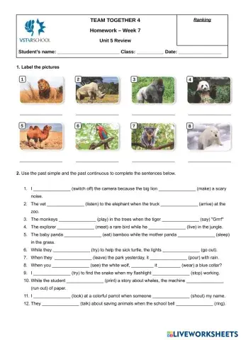 worksheet tumbnail