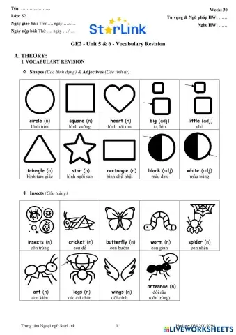 worksheet tumbnail