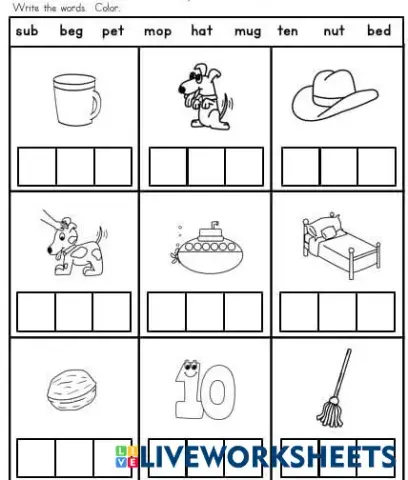 worksheet tumbnail