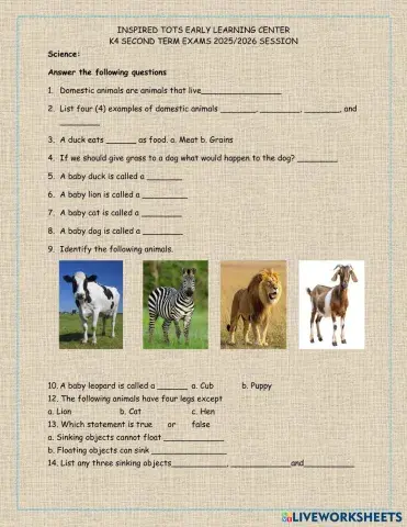 worksheet tumbnail