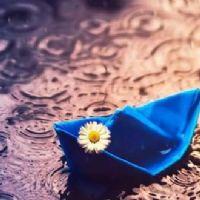 Profile picture for user mrsreda