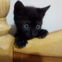 Profile picture for user TeacherTam