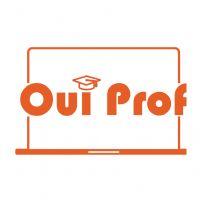 Profile picture for user OuiProf