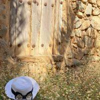 Aisha Musa Al-Balushi