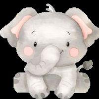 Profile picture for user bdinares