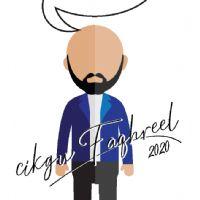 Profile picture for user faqhreel