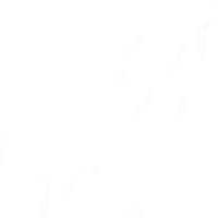 Profile picture for user saragirao