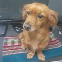 Profile picture for user AdriLove50