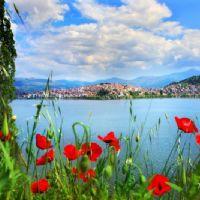 Profile picture for user dimitra21