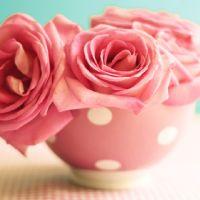 Пінчук Наталія