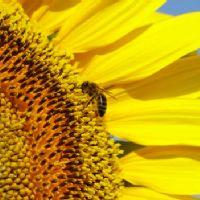 Profile picture for user anab16