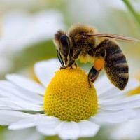 Profile picture for user PFPE_Prometeo