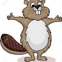 Profile picture for user barbario