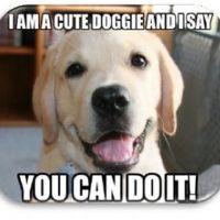 Profile picture for user OwO_OuO