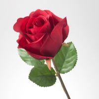 Profile picture for user krishkk