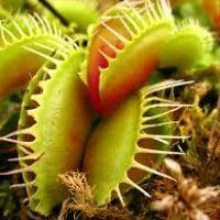 Profile picture for user asorias01