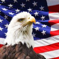 maria chiara vistoli