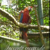 Profile picture for user yanamaru