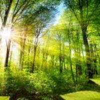 Profile picture for user Aishahlee