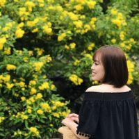 Profile picture for user lbnngoc