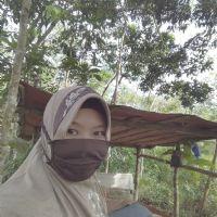 Profile picture for user Ziyanzaky