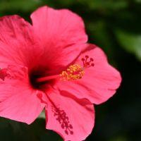 Profile picture for user cikgu_suria_sayang21