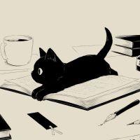 Profile picture for user MTERRES