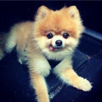 Profile picture for user yanikapulut