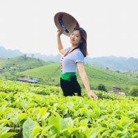 Profile picture for user nghiemkimgiang1996