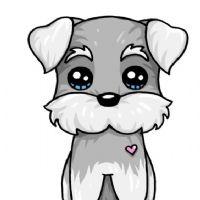 Profile picture for user Andrea0204