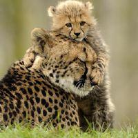 Profile picture for user krtecek9