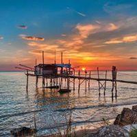 Profile picture for user MareeSole