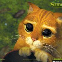 Profile picture for user Sandy30