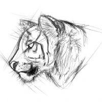 Mónica Isabel Ortiz