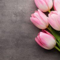 Profile picture for user wawajay