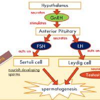 Profile picture for user taqinah