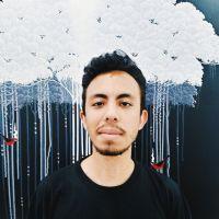 Profile picture for user mchav