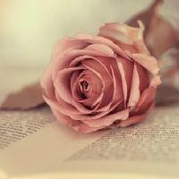 Profile picture for user teacher_Alma_G