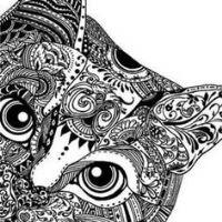 Profile picture for user meryko