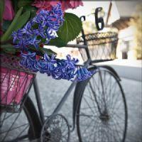 Profile picture for user veronikafredda