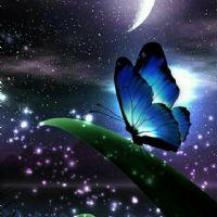 Profile picture for user MrsKarlaZapata