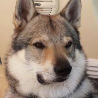 Profile picture for user silvy5