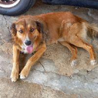 Profile picture for user ProfesoraA